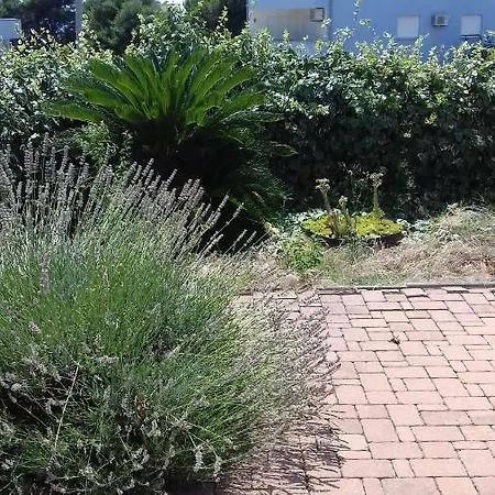 Priska - Blue Garden Zadar